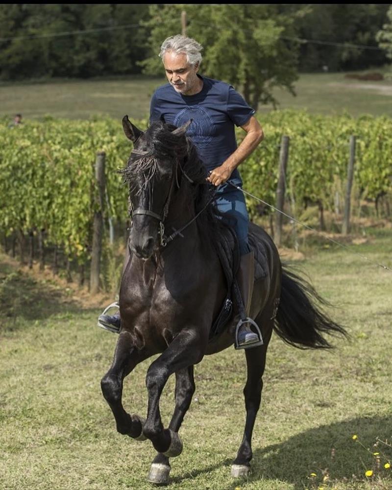 AndreaBocelli_Horse Bruschetta-Francesca-AndreaBocelli-Horse