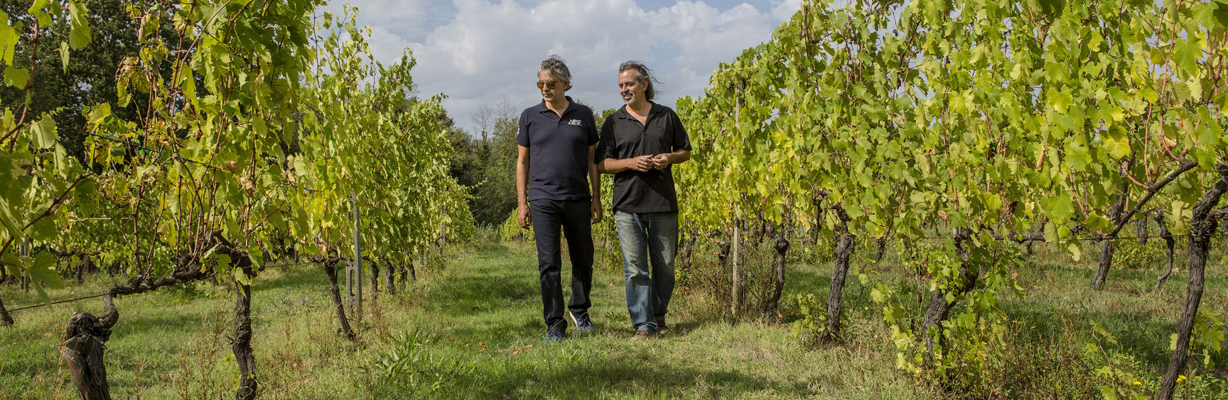 Bocelli_Vineyard Bruschetta-Francesca-Bocelli-Vineyard